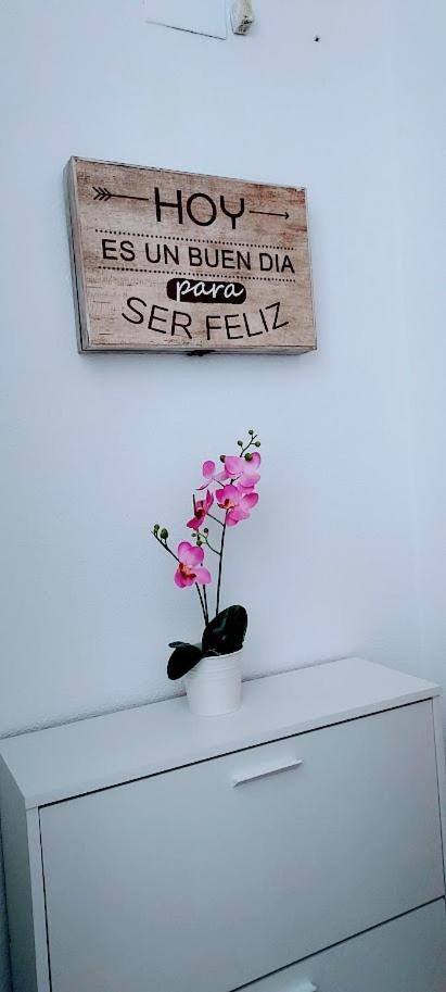 Apartamento Viena VI Benidorm Eksteriør billede