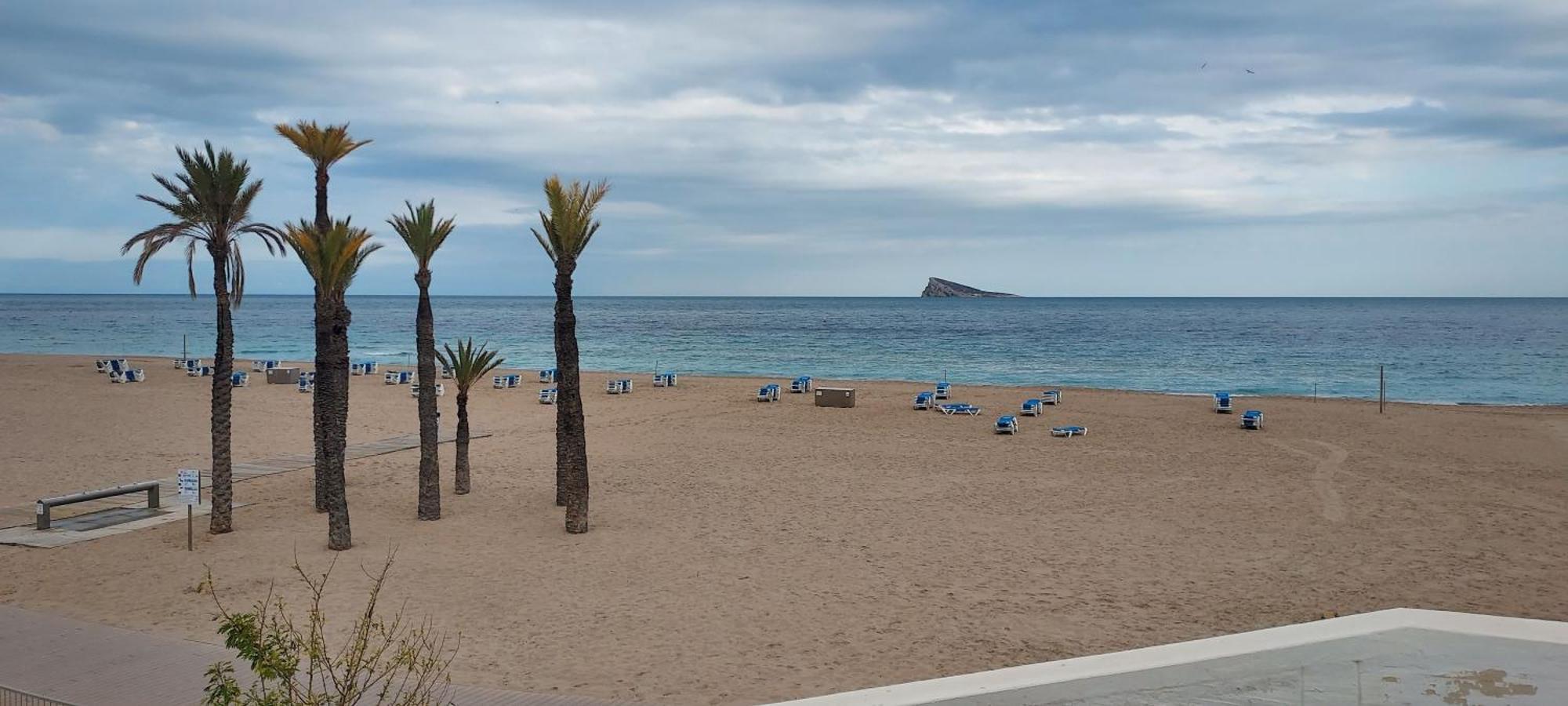 Apartamento Viena VI Benidorm Eksteriør billede
